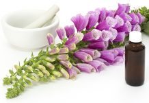 Risker med hjärtmedicinen digoxin