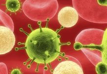 Ny metod gav skydd mot hivinfektion