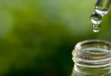 Sverige kan bli europeiskt