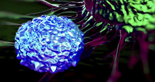 Lovande immunterapi mot blodcancer