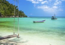 Fler svenskar smittade utomlands av dengue