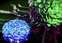 Patienter som fått CAR-T måste följas hela livet Läkemedelsvärlden