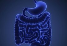 Svensk forskning ger nya ledtrådar om ulcerös kolit Läkemedelsvärlden