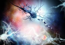 Svensk studie ger hopp om precisionsmedicin mot MS