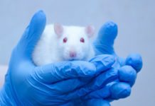 Musstudier utan möss i titeln syns mer i medierna Läkemedelsvärlden