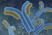 Rekommendation för ms-behandling tas bort