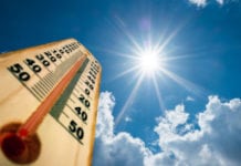 Ny Sverigechef, värmebölja och alzheimerframgångar