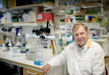 Ännu ett pris för banbrytande koleravaccin Professor Jan Holmgren, Sahlgrenska akademin