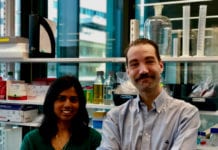 Behandlingsbar mekanism hittad vid schizofreni