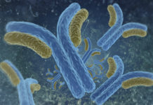 ”Vi vill kunna hjälpa förskrivarna bättre” antikropp