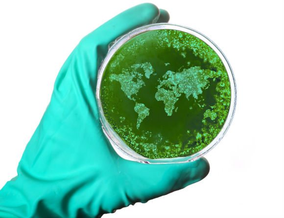 Antibiotikaresistens dödar snart miljoner varje år