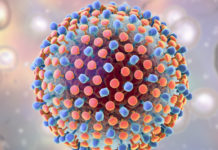 England satsar på plan för att utrota hepatit C Hepatit C