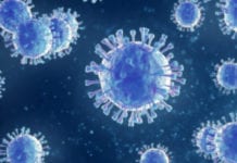 Vetenskapsrådet satsar på svensk virusforskning Läkemedelsvärlden