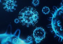 Ny antikropp ”skyddar mot alla kända varianter” Läkemedelsvärlden