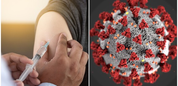 Antikroppar kvar minst ett halvår