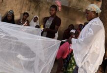 Nytt malariavaccin väcker stort hopp Läkemedelsvärlden