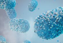 Karenstid för blodgivning rekommenderas vid mpox apkoppor