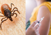 Fortsatt stor skillnad mellan regioner fästing