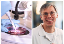 Lovande första resultat av cellterapi mot diabetes För första gången ska potentiellt botande cellterapi mot diabetes typ 1 testas på patienter, berättar överläkare och professor Per-Ola Carlsson, Akademiska sjukhuset och Uppsala universitet. Foto: Istock/Akademiska sjukhuset