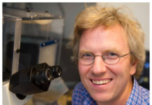 Extrasatsning på ny cancerforskning Karl-Johan Malmberg Foto: KI