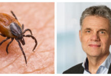 Nya rekommendationer om TBE-vaccinationer på paus TBE TBE-vaccin TBE-vaccination Fästing Sören Andersson Folkhälsomyndigheten