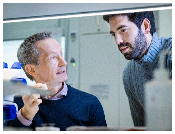 Letar bot mot dödliga barncancern ponsgliom