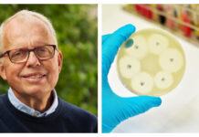 Vill inspirera farmaceuter att forska Anders Karlén, som varit med och forskat fram en helt ny och potentiellt banbrytande antibiotika, får utmärkelsen Årets farmaceut 2024 av fackförbundet Sveriges farmaceuter. Foto: Istock / Johan Asp