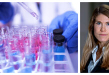 Swedac: ”Det här är väldigt allvarligt” Kollage Akademiska ackreditering